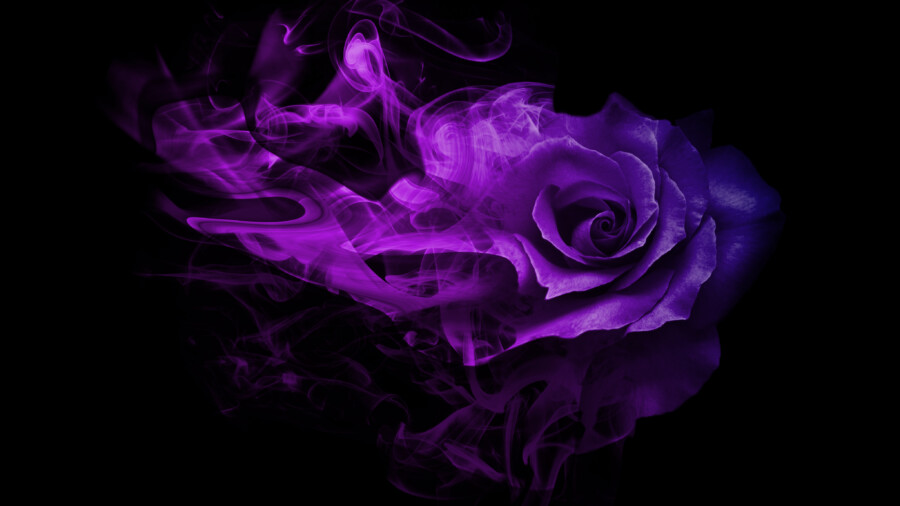  「紫」のイメージ