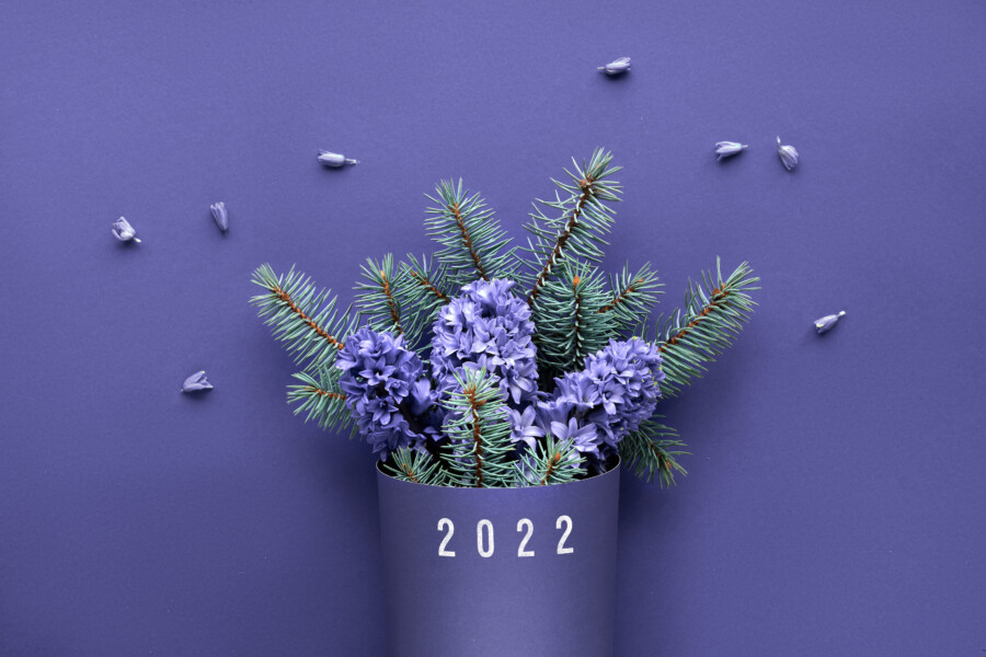 2022年のPANTONE_Very Peri_2